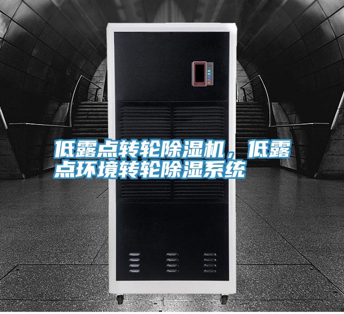 低露點(diǎn)轉(zhuǎn)輪除濕機(jī),低露點(diǎn)環(huán)境轉(zhuǎn)輪除濕系統(tǒng)