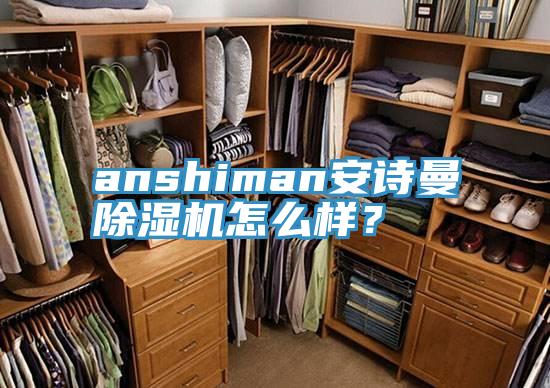 anshiman安詩曼除濕機怎么樣?