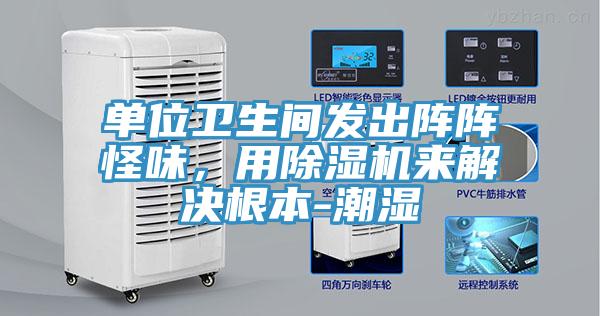 單位衛(wèi)生間發(fā)出陣陣怪味,用除濕機(jī)來解決根本-潮濕