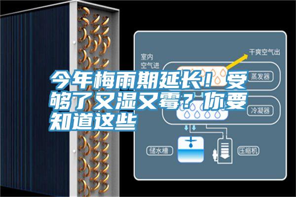 今年梅雨期延長!受夠了又濕又霉?你要知道這些