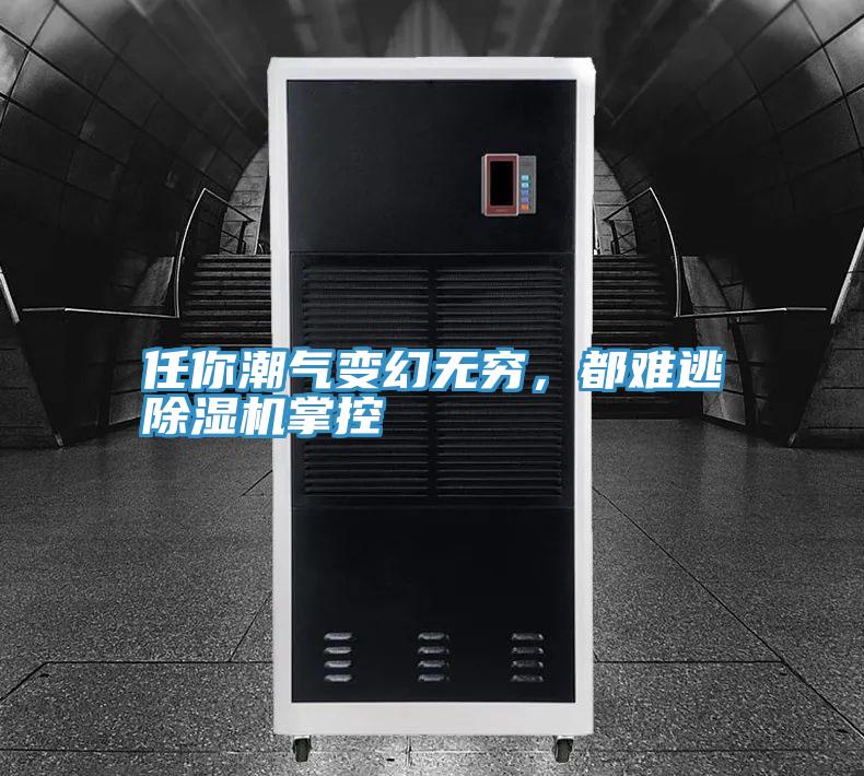 任你潮氣變幻無(wú)窮,都難逃除濕機(jī)掌控