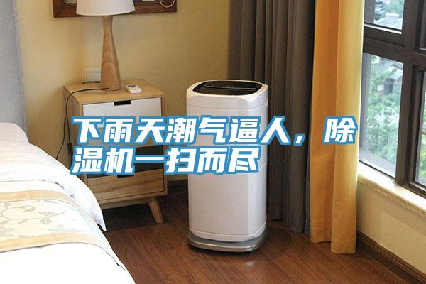 下雨天潮氣逼人，除濕機一掃而盡