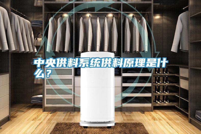 中央供料系統供料原理是什么？