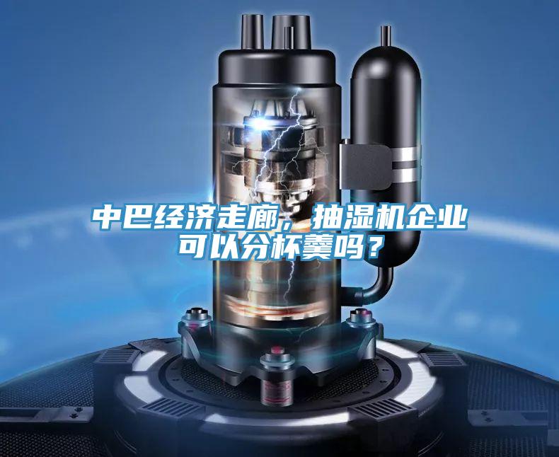 中巴經(jīng)濟(jì)走廊,抽濕機(jī)企業(yè)可以分杯羹嗎?