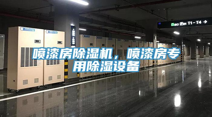 噴漆房除濕機(jī),噴漆房專用除濕設(shè)備