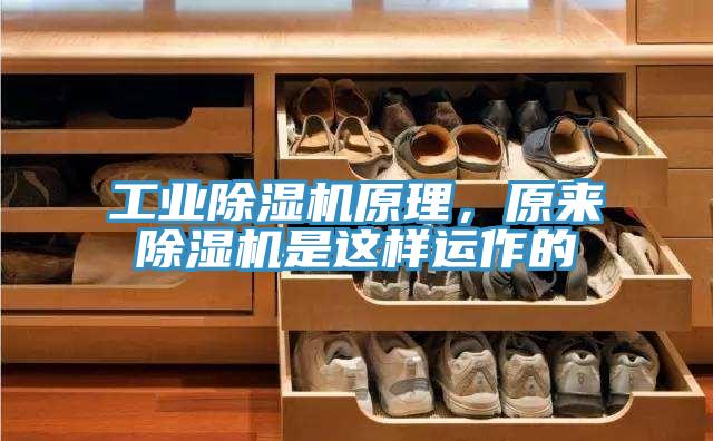 工業除濕機原理，原來除濕機是這樣運作的