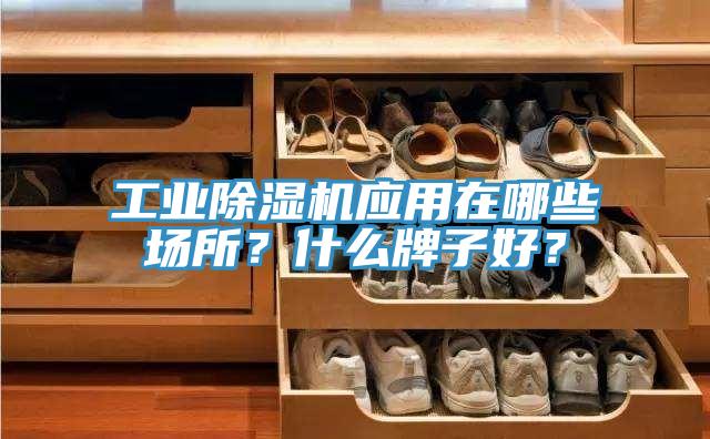 工業(yè)除濕機應用在哪些場所?什么牌子好?