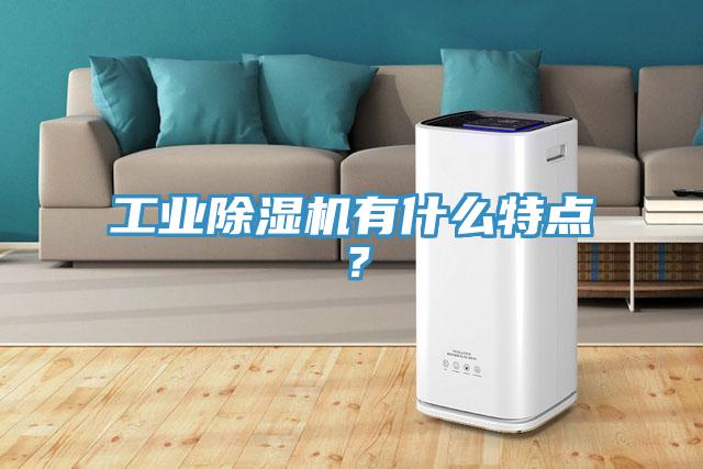 工業(yè)除濕機(jī)有什么特點(diǎn)?