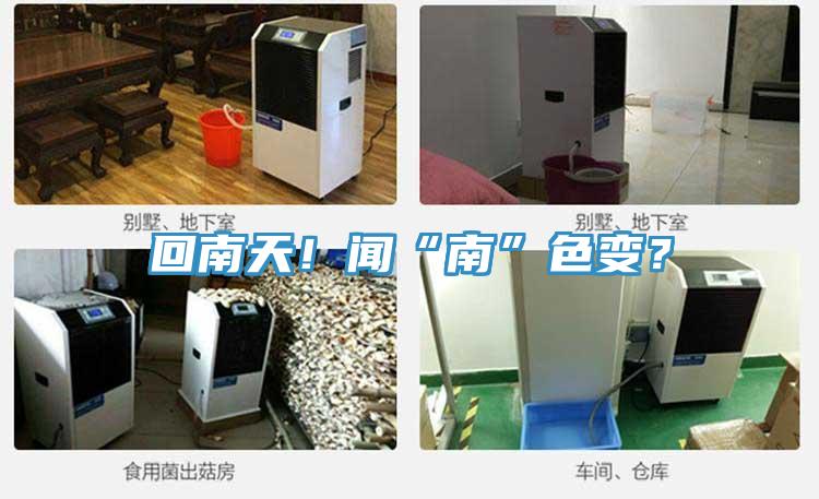 回南天！聞“南”色變？