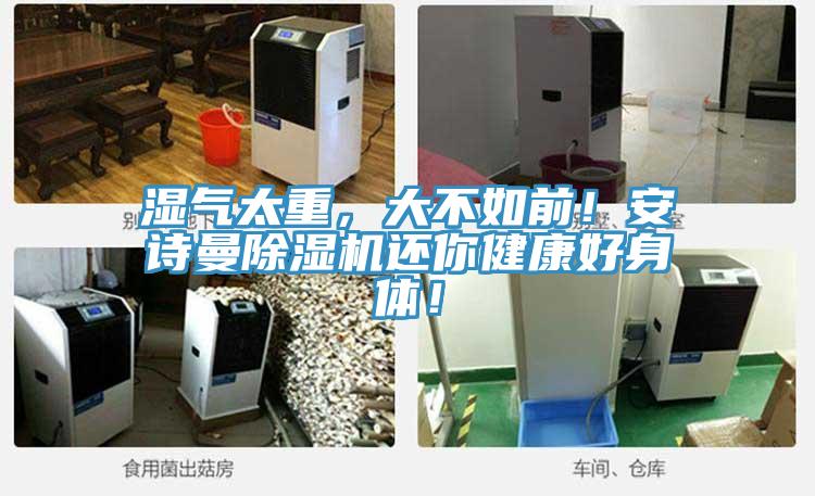 濕氣太重，大不如前！安詩曼除濕機還你健康好身體！