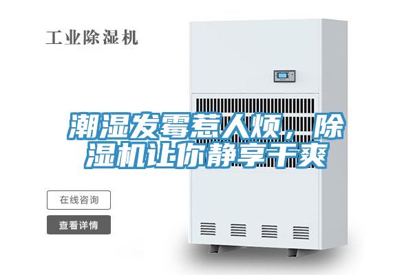 潮濕發霉惹人煩,除濕機讓你靜享干爽