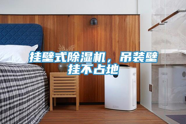 掛壁式除濕機，吊裝壁掛不占地