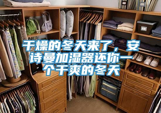 干燥的冬天來了，安詩曼加濕器還你一個干爽的冬天