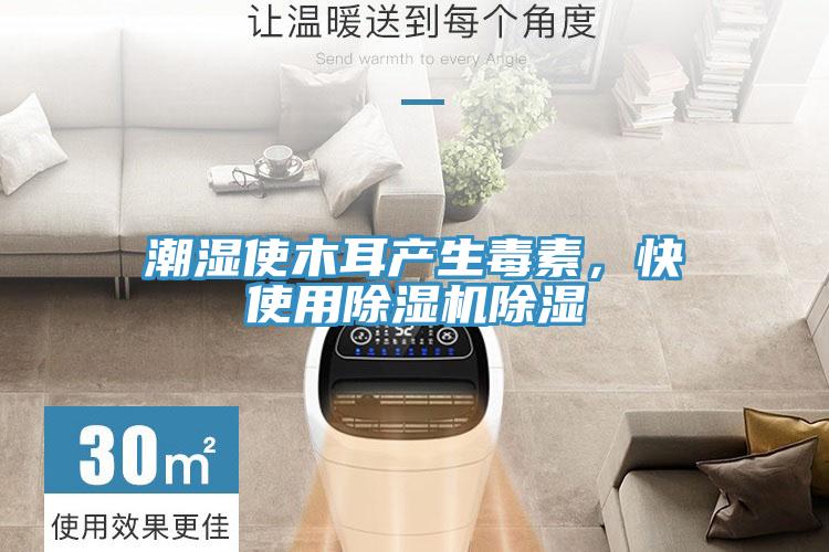 潮濕使木耳產生毒素，快使用除濕機除濕