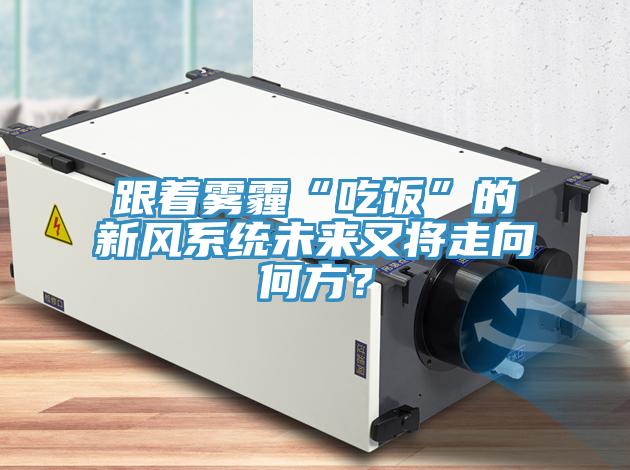 跟著霧霾“吃飯”的新風(fēng)系統(tǒng)未來又將走向何方?