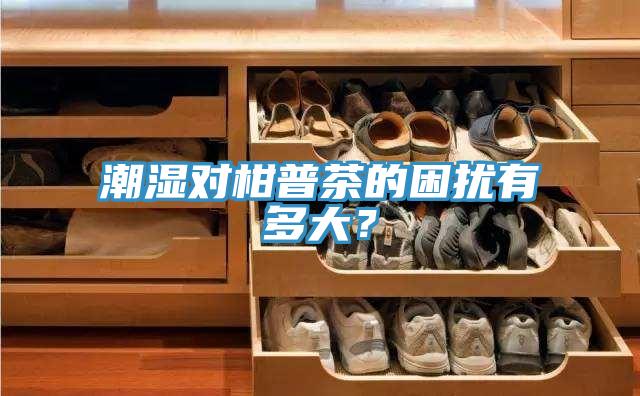 潮濕對柑普茶的困擾有多大?