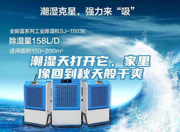潮濕天打開它,家里像回到秋天般干爽