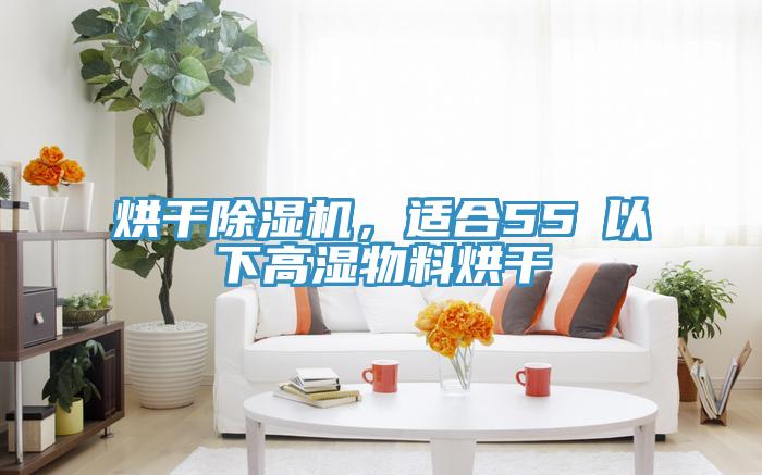 烘干除濕機(jī),適合55℃以下高濕物料烘干