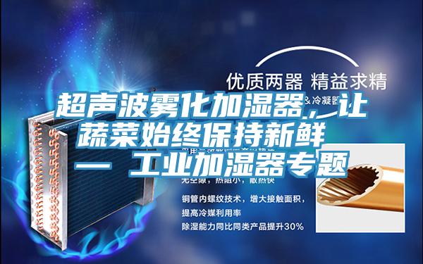 超聲波霧化加濕器,讓蔬菜始終保持新鮮 — 工業(yè)加濕器專題