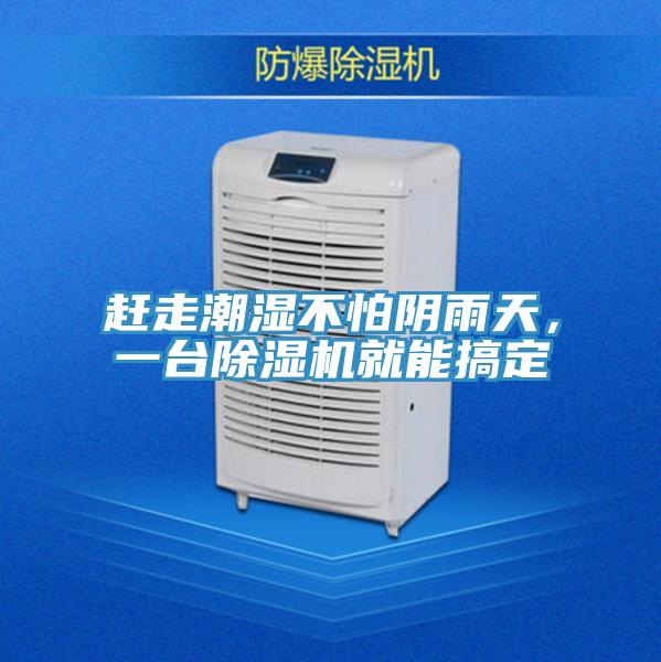 趕走潮濕不怕陰雨天,一臺(tái)除濕機(jī)就能搞定