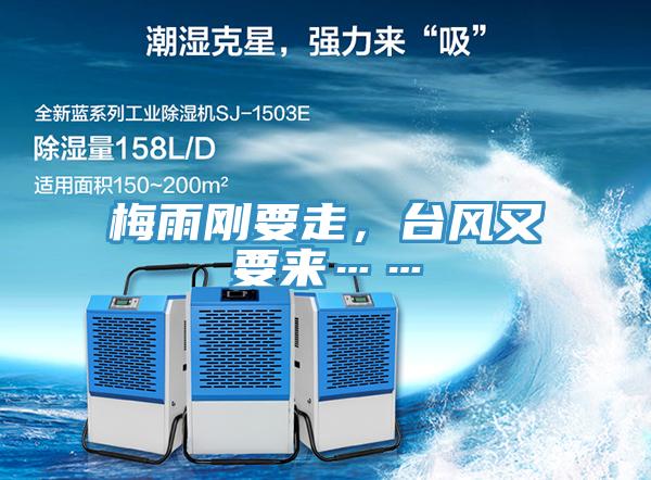 梅雨剛要走,臺風又要來……