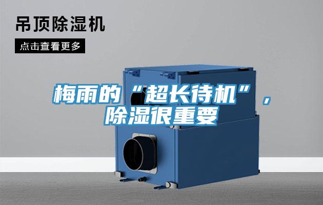 梅雨的“超長(zhǎng)待機(jī)”,除濕很重要