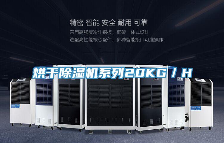 烘干除濕機系列20KG/H
