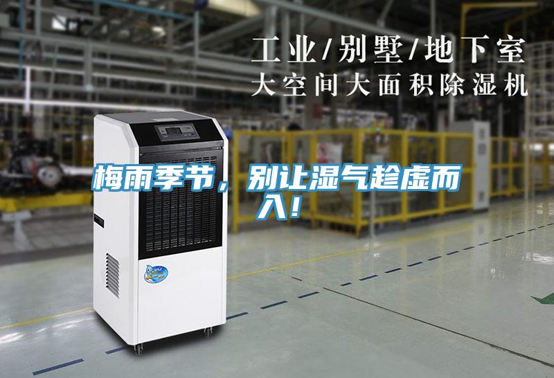 梅雨季節(jié),別讓濕氣趁虛而入!