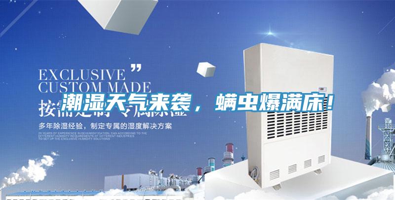 潮濕天氣來襲，螨蟲爆滿床！