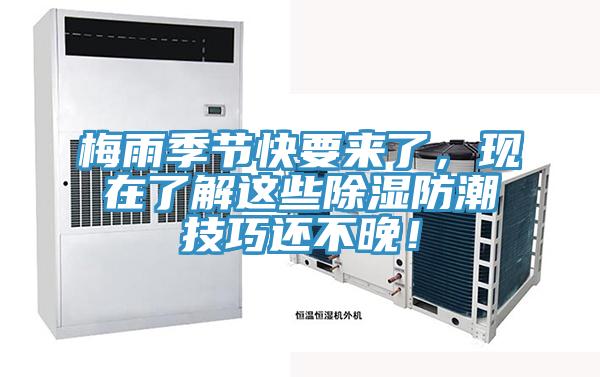 梅雨季節快要來了，現在了解這些除濕防潮技巧還不晚！