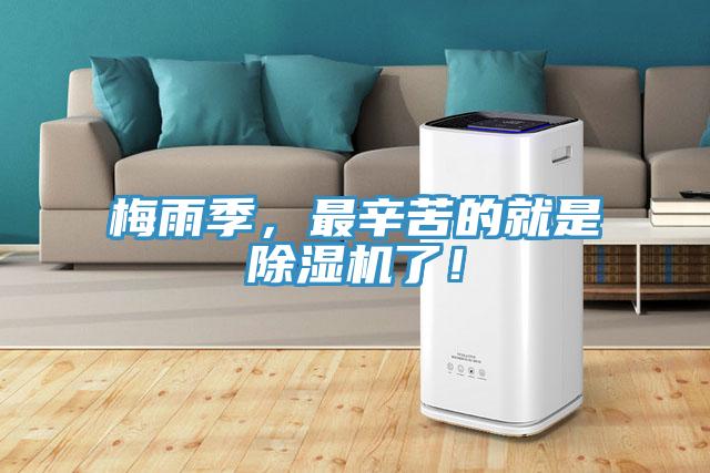 梅雨季,最辛苦的就是除濕機(jī)了!