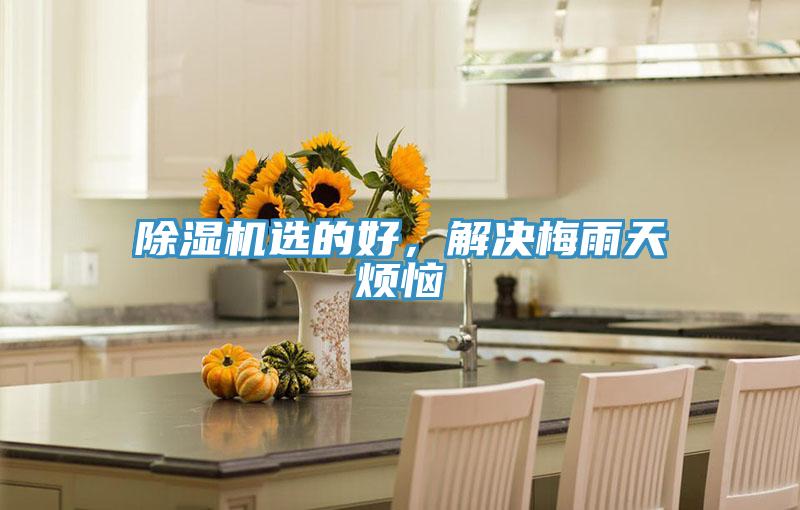 除濕機選的好,解決梅雨天煩惱