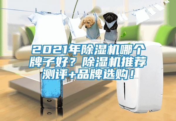 2021年除濕機(jī)哪個(gè)牌子好？除濕機(jī)推薦測評(píng)+品牌選購！