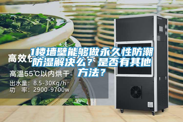 1樓墻壁能夠做永久性防潮防濕解決么?是否有其他方法?