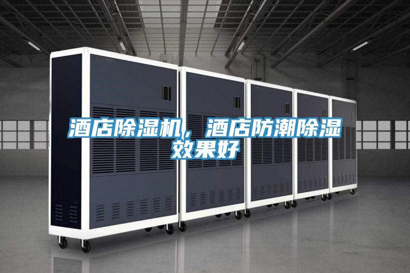 酒店除濕機(jī),酒店防潮除濕效果好