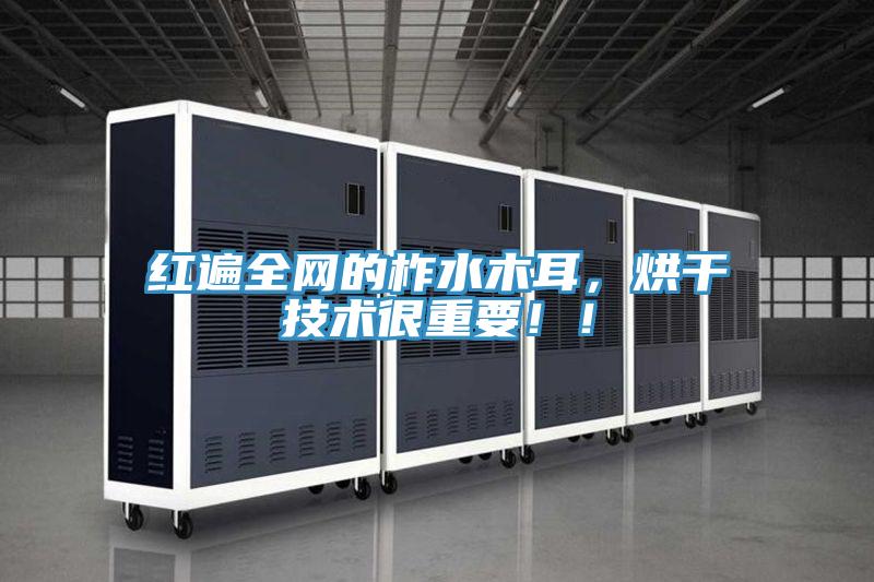 紅遍全網(wǎng)的柞水木耳，烘干技術很重要！！