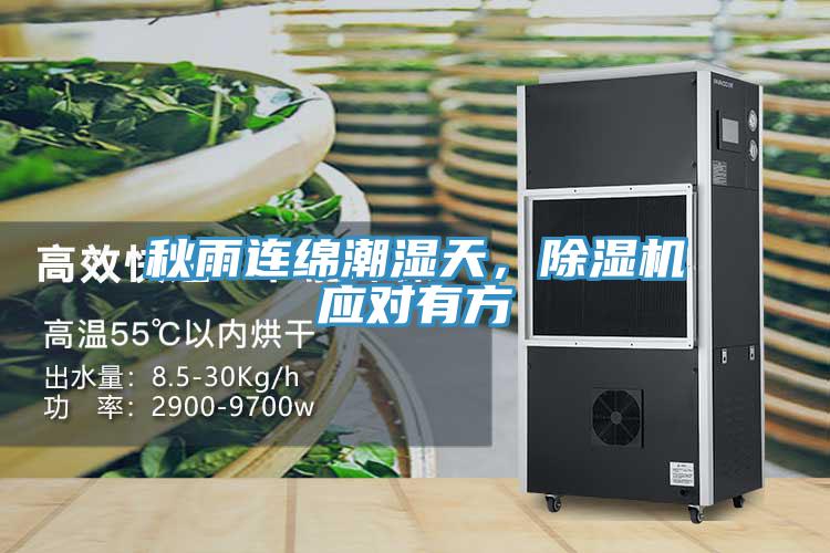 秋雨連綿潮濕天,除濕機應對有方