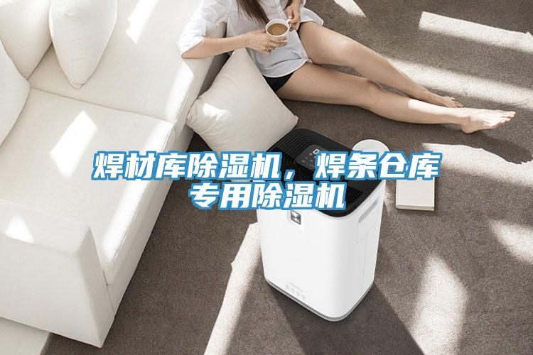焊材庫除濕機，焊條倉庫專用除濕機