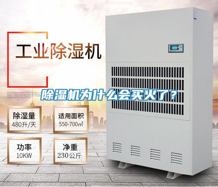 除濕機為什么會買火了?