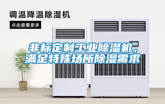 非標定制工業除濕機，滿足特殊場所除濕需求
