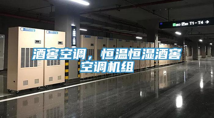 酒窖空調(diào),恒溫恒濕酒窖空調(diào)機(jī)組