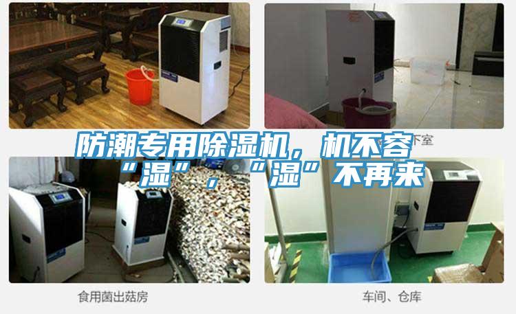 防潮專(zhuān)用除濕機(jī),機(jī)不容“濕”,“濕”不再來(lái)