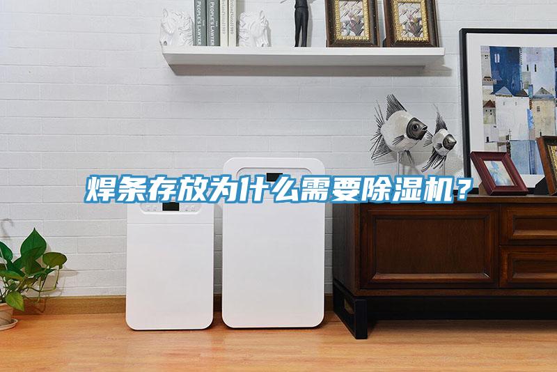 焊條存放為什么需要除濕機?