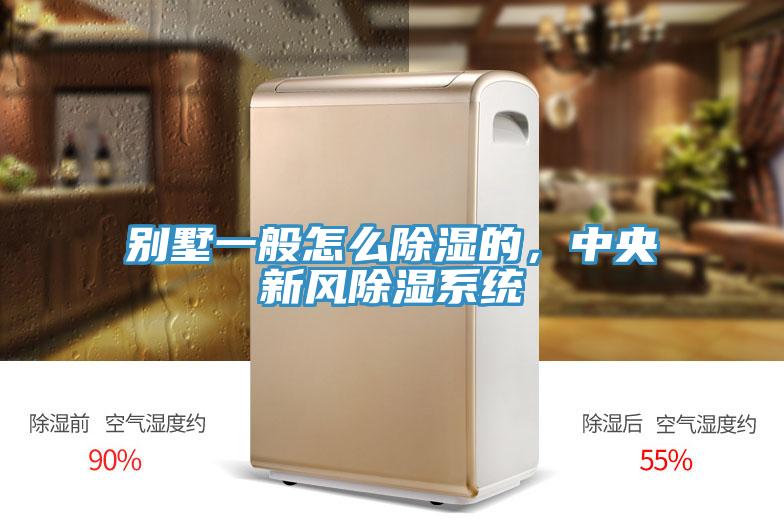 別墅一般怎么除濕的,中央新風除濕系統