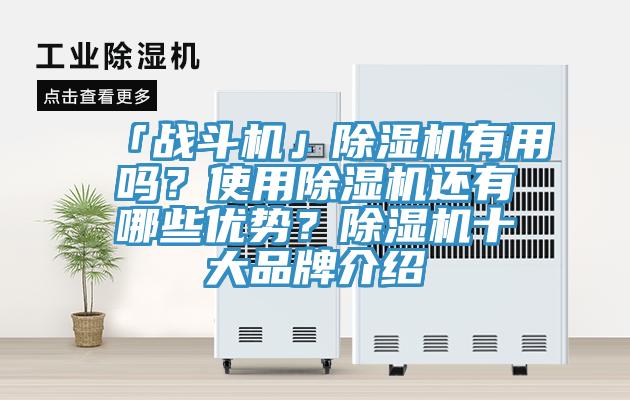 「戰斗機」除濕機有用嗎?使用除濕機還有哪些優勢?除濕機十大品牌介紹