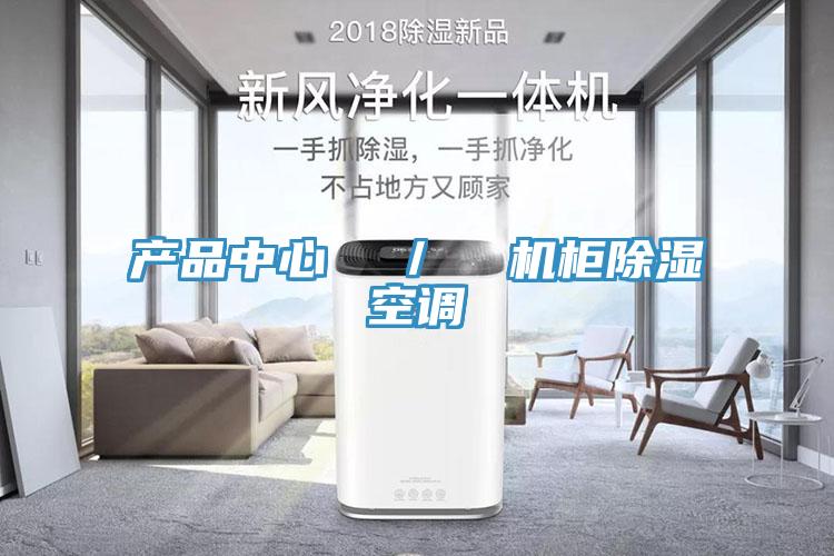 產(chǎn)品中心 / 機(jī)柜除濕空調(diào)