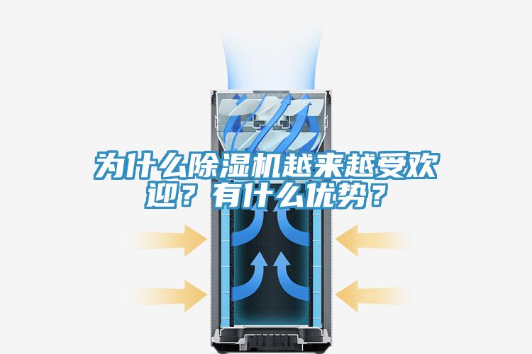 為什么除濕機越來越受歡迎?有什么優勢?