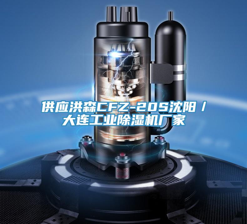 供應洪森CFZ-20S沈陽/大連工業除濕機廠家