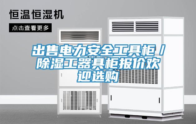 出售電力安全工具柜/除濕工器具柜報價歡迎選購