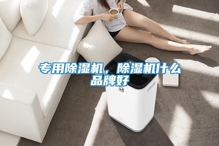 專用除濕機,除濕機什么品牌好